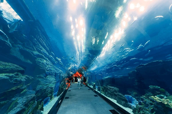 Dubai Aquarium